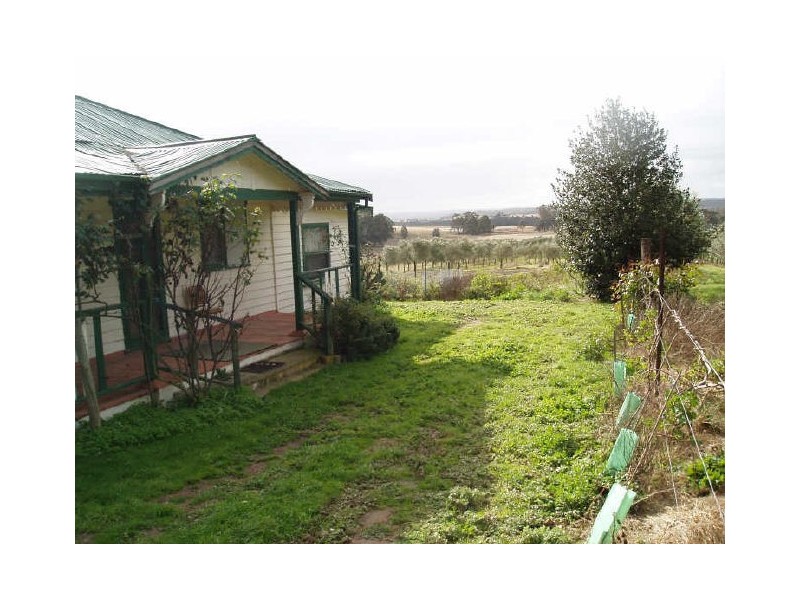 Redhill Olive Farm/ Hume Highway, Marulan NSW 2579