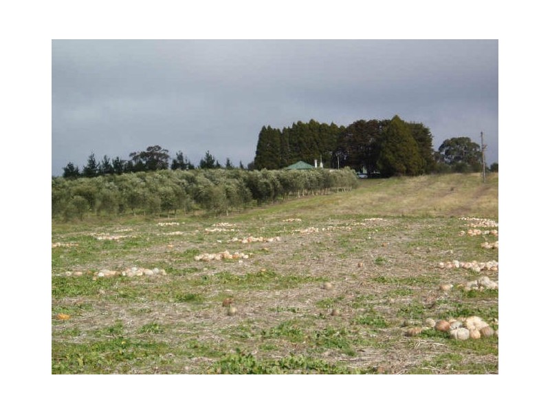 Redhill Olive Farm/ Hume Highway, Marulan NSW 2579