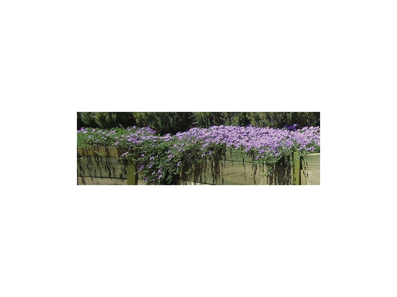 Mereau Village/ Kirkham Street, Moss Vale NSW 2577