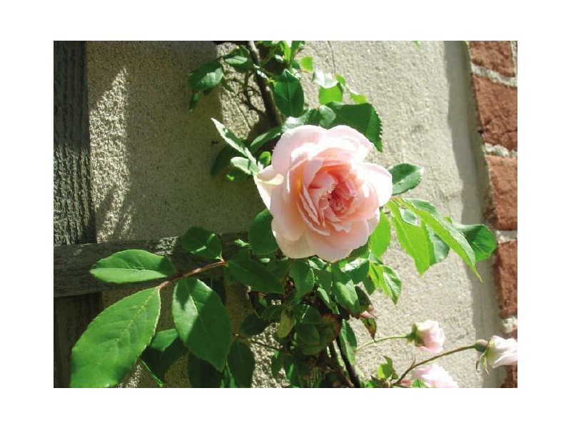 Mereau Village/ Kirkham Street, Moss Vale NSW 2577