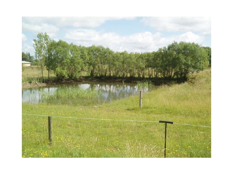 “Owlswood Farm”/ Illawarra Hwy, Moss Vale NSW 2577