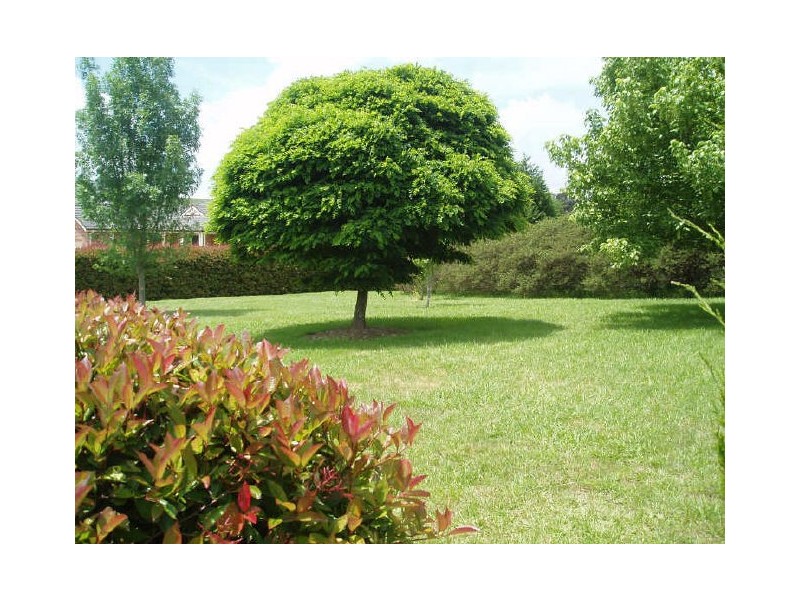 17 Watkins Drive, Moss Vale NSW 2577