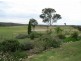 147 Pegasus Road, Bungonia NSW 2580