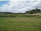 Bundarrah/ Jerrara Road, Marulan NSW 2579