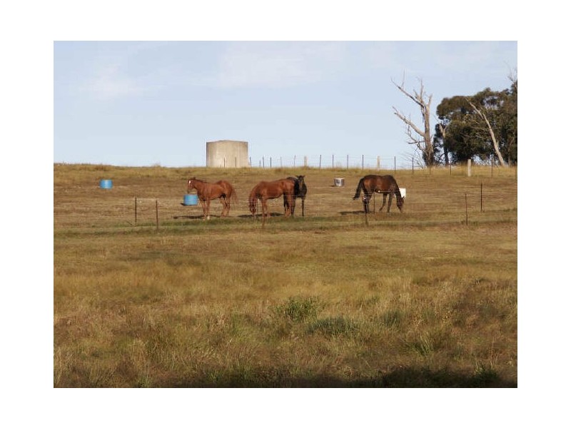 OAK VALLEY 121 Oak Valley Road, Marulan NSW 2579