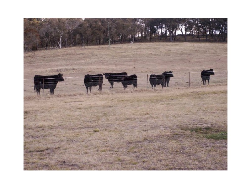 OAK VALLEY 121 Oak Valley Road, Marulan NSW 2579