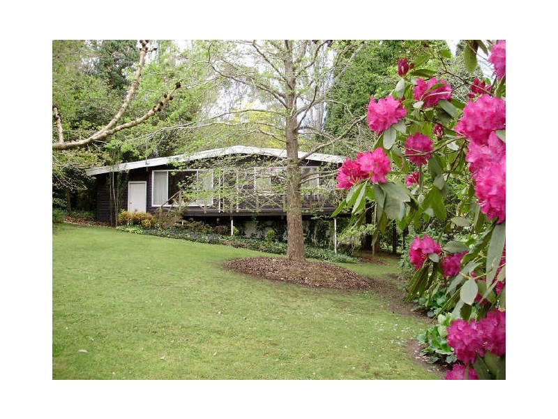 Wongaburra/19-21 Hill Road, Moss Vale NSW 2577