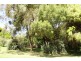 37 Spring Street, Moss Vale NSW 2577