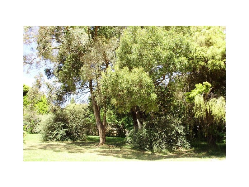 37 Spring Street, Moss Vale NSW 2577