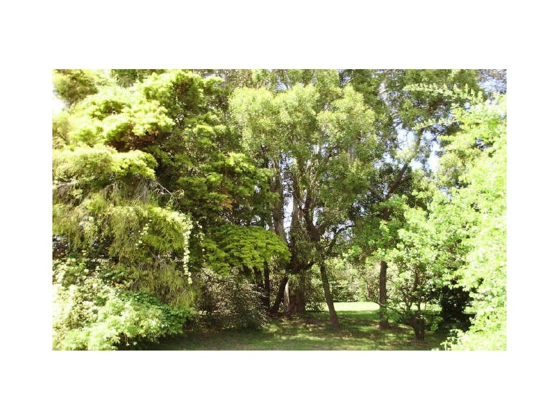 37 Spring Street, Moss Vale NSW 2577