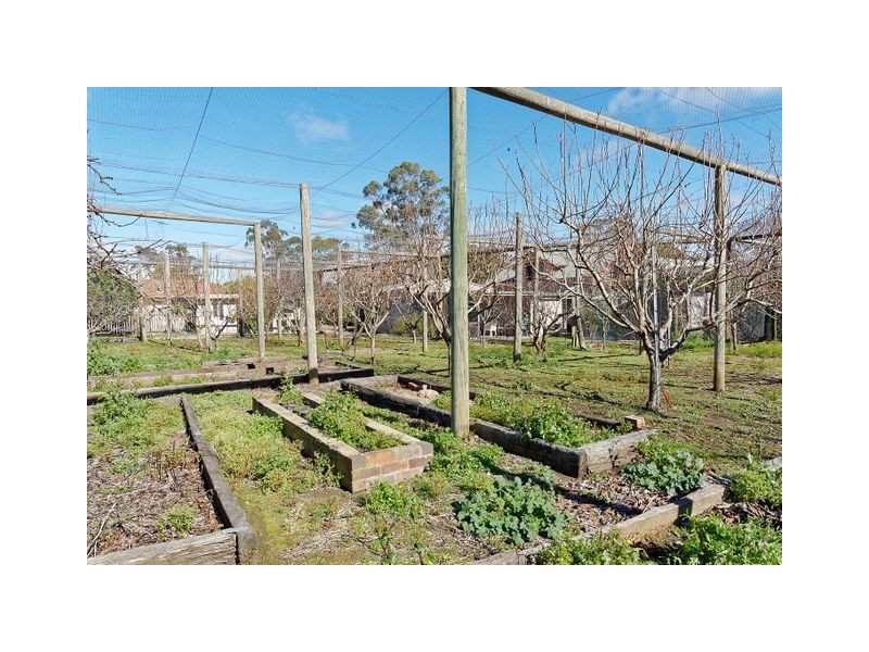 12 Daphne Street, Colo Vale NSW 2575