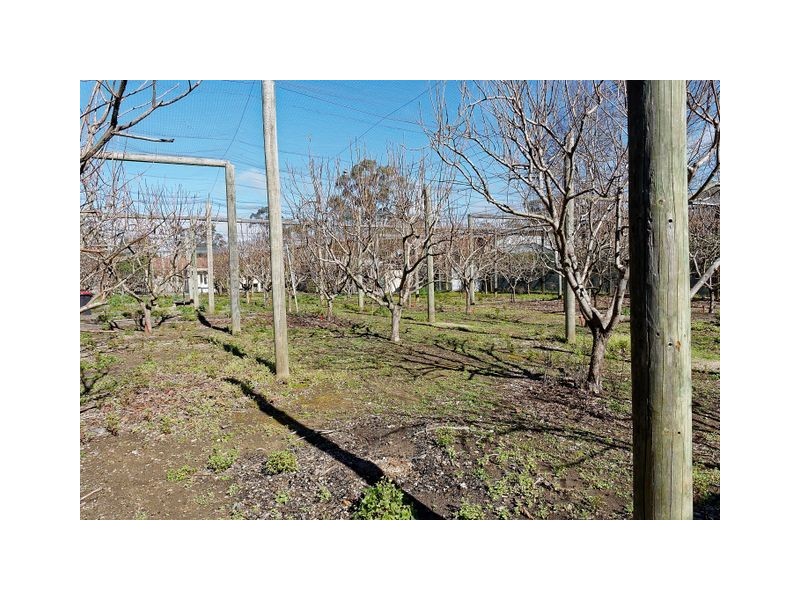 12 Daphne Street, Colo Vale NSW 2575