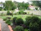 Mudgeeraba QLD 4213