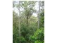 Burleigh Heads QLD 4220