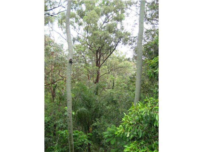 Burleigh Heads QLD 4220