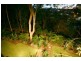 43 Ladds Ridge Road, Burleigh Heads QLD 4220