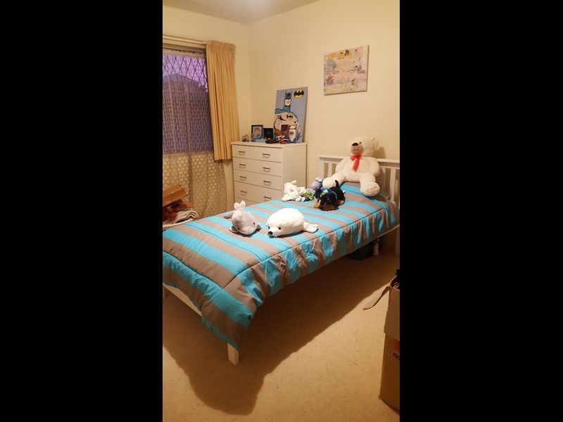 2/1434 Gold Coast Highway, Palm Beach QLD 4221