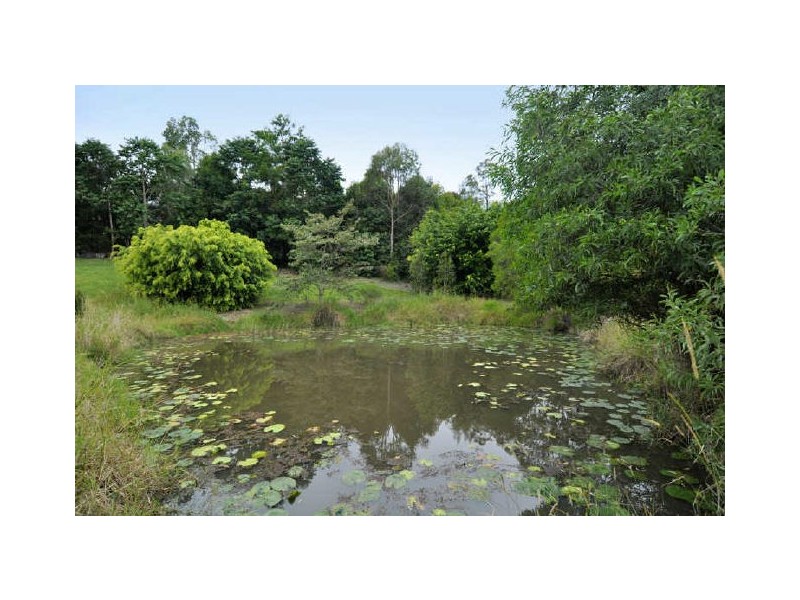 13 Northbow Court, Tallebudgera QLD 4228