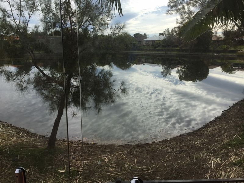 13 Gardendale Crescent, Burleigh Waters QLD 4220