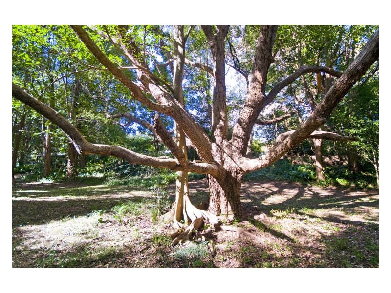 18 Camphorlaurel Court, Tallebudgera Valley QLD 4228