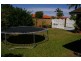 Palm Beach QLD 4221