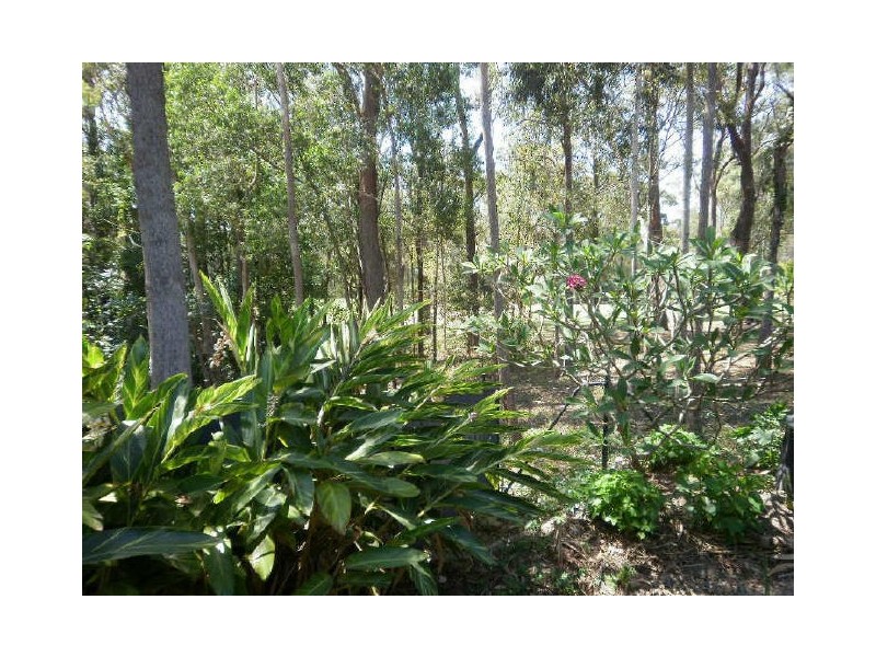 22 Firestone Court, Robina QLD 4226