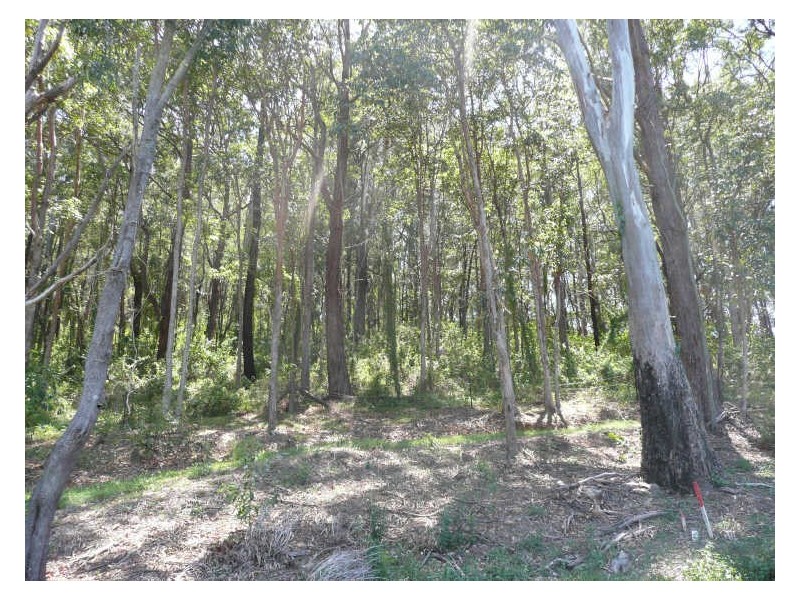 8 Elmes Court, Mudgeeraba QLD 4213