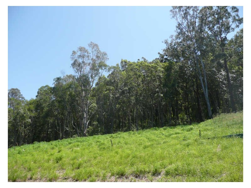 8 Elmes Court, Mudgeeraba QLD 4213