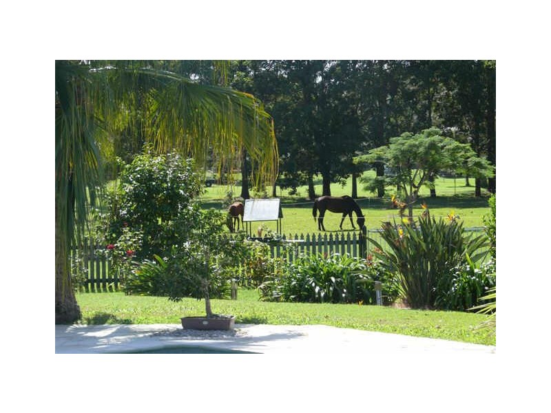 12 Daffodil Street, Tallebudgera QLD 4228