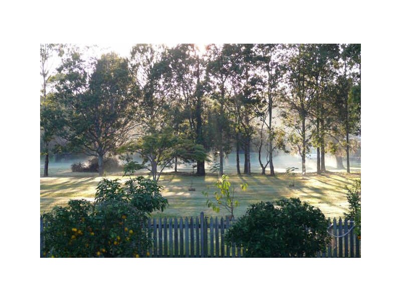 12 Daffodil Street, Tallebudgera QLD 4228