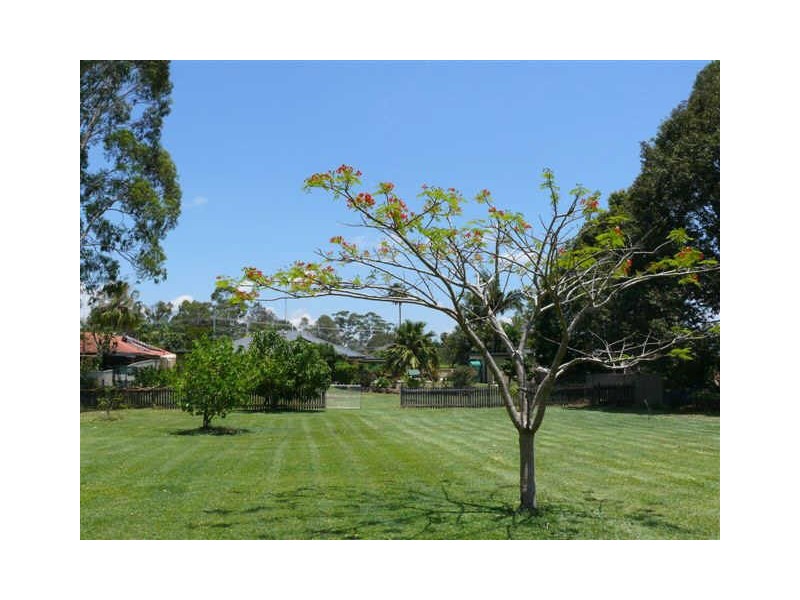 12 Daffodil Street, Tallebudgera QLD 4228