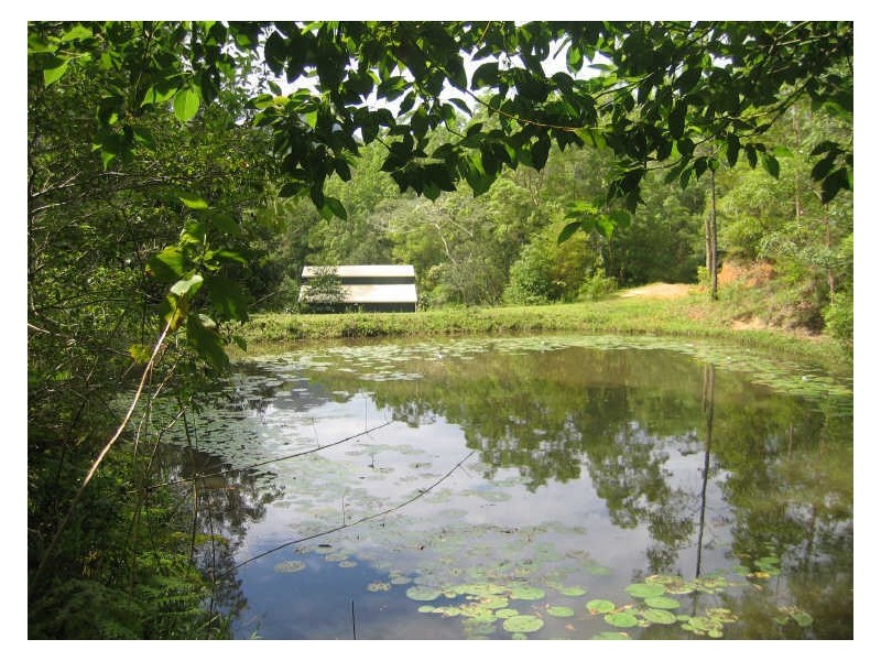36 Dove Rd, Tallebudgera Valley QLD 4228