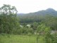 36 Dove Rd, Tallebudgera Valley QLD 4228