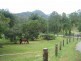 36 Dove Rd, Tallebudgera Valley QLD 4228