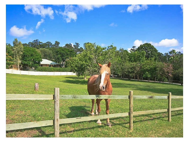 26 Charles Kurz Drive, Worongary QLD 4213