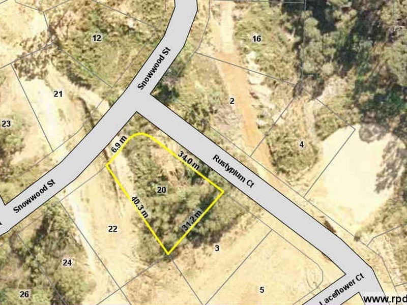 20 Snowwood Street, Reedy Creek QLD 4227