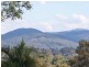 Robina QLD 4226