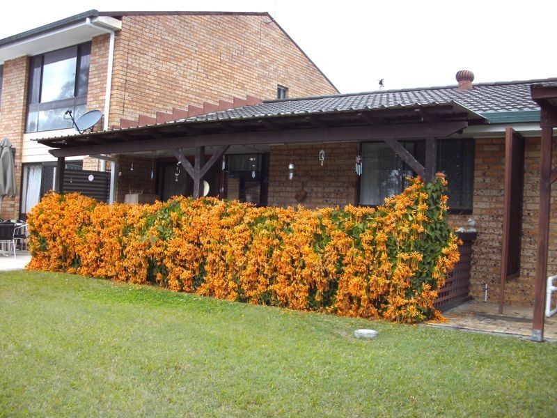 46/170 Bardon Avenue, Miami QLD 4220