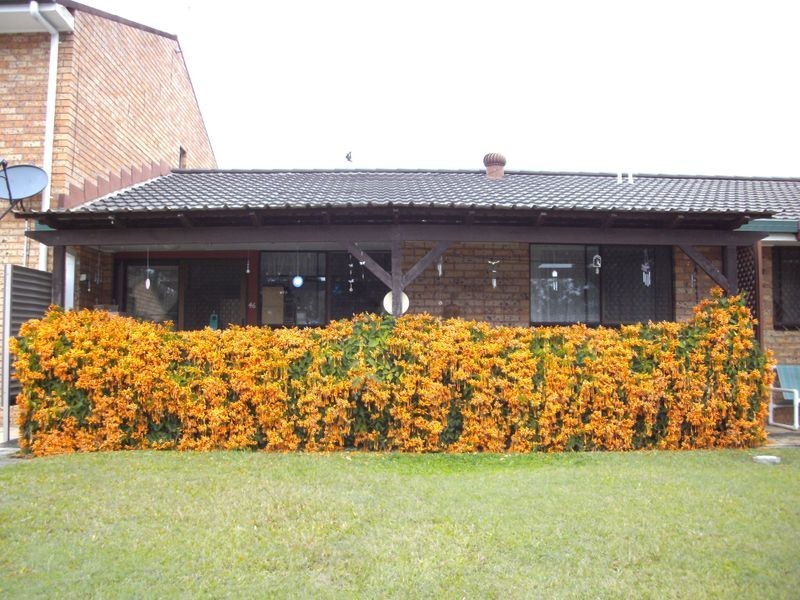 46/170 Bardon Avenue, Miami QLD 4220