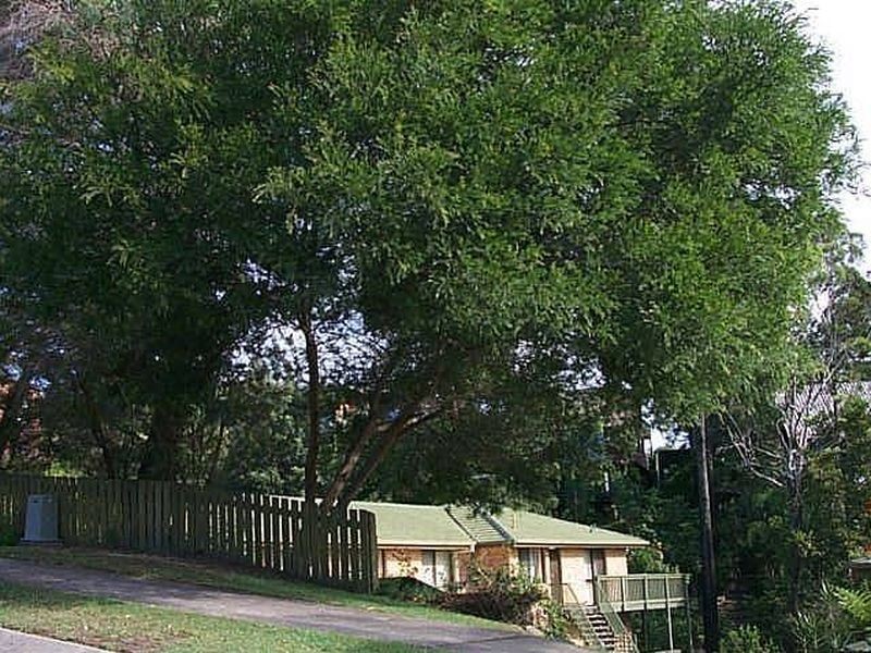 3/11 Daisy Street, Elanora QLD 4221