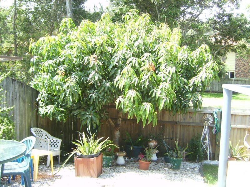 197/3 Township Drive, Burleigh Heads QLD 4220