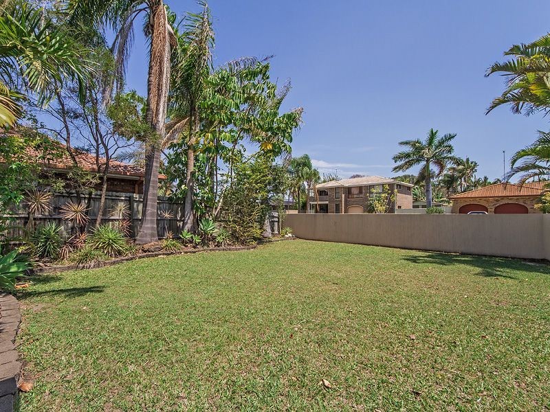 24 Razorbill Street, Burleigh Waters QLD 4220