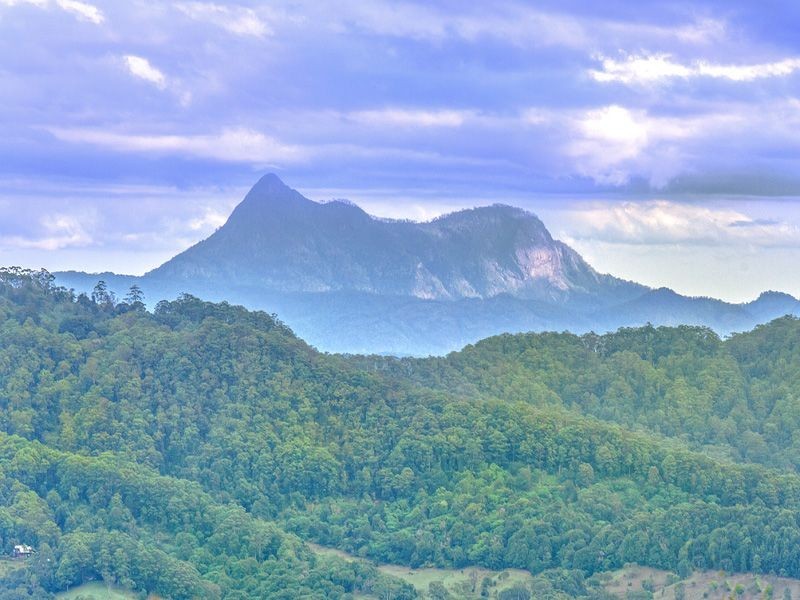 781 Trees Road, Currumbin Valley QLD 4223