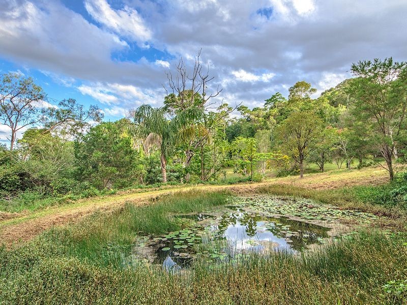 781 Trees Road, Currumbin Valley QLD 4223