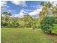 781 Trees Road, Currumbin Valley QLD 4223