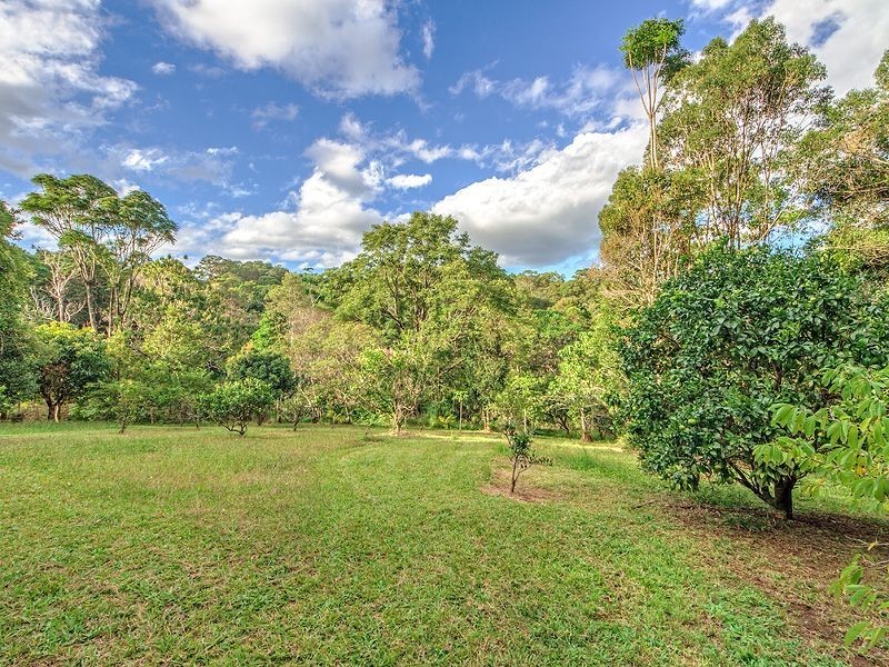 781 Trees Road, Currumbin Valley QLD 4223