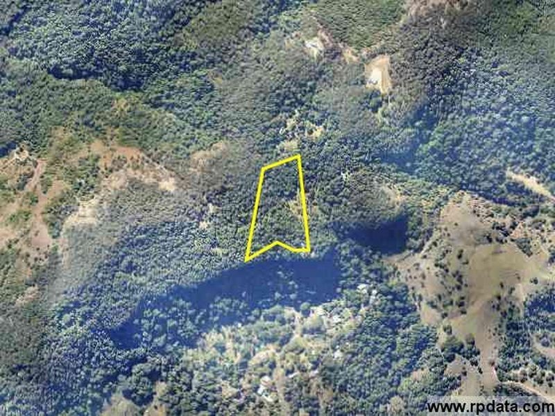 781 Trees Road, Currumbin Valley QLD 4223