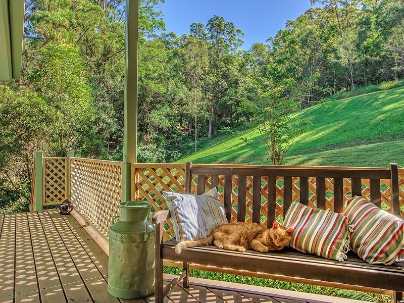 19 Monday Dr, Tallebudgera Valley QLD 4228
