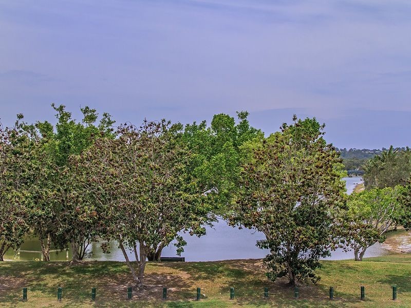 41/9-15 Harrier Dr, Burleigh Waters QLD 4220