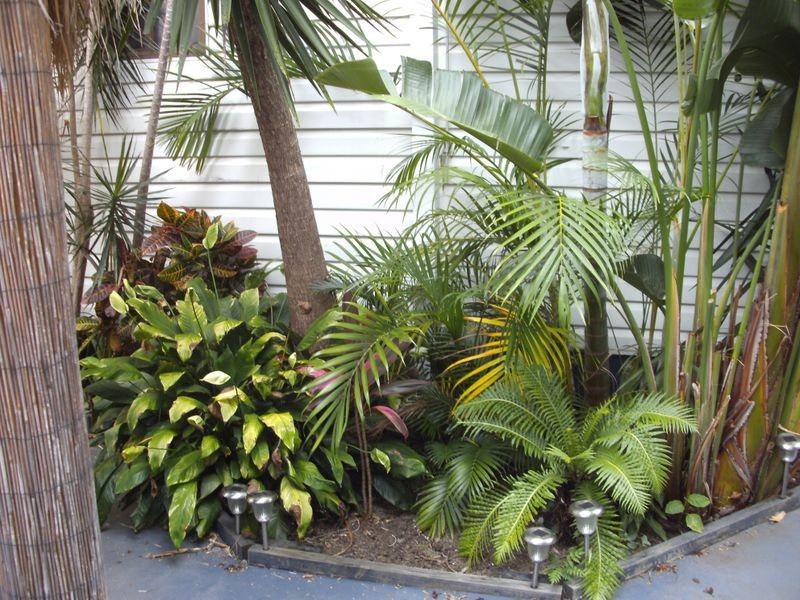 189/3 Township Drive, Burleigh Heads QLD 4220